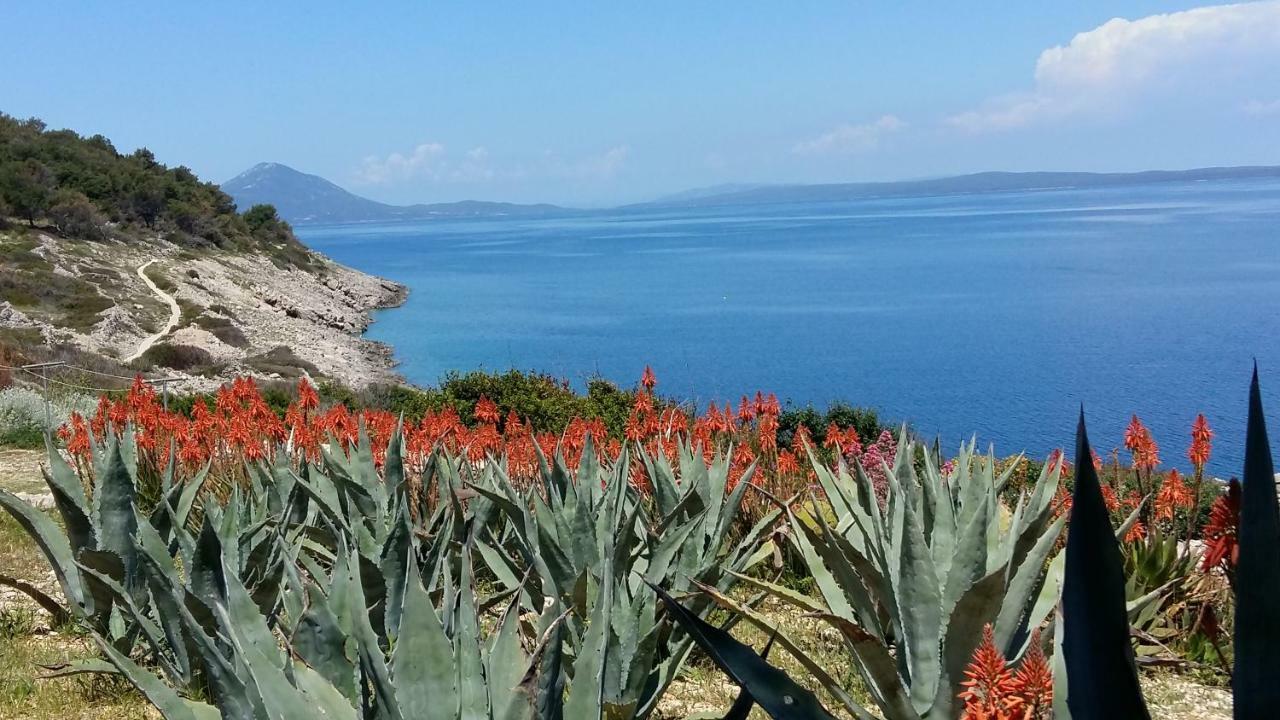 Apartments Villa Adrienne Mali Lošinj Dış mekan fotoğraf